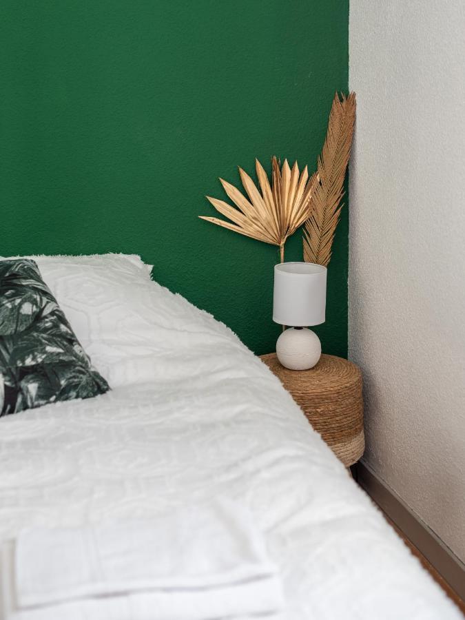 Bel Appartement Renove Grenoble Zewnętrze zdjęcie